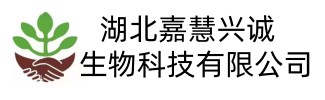 站点名称