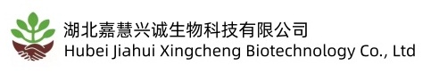 站点名称