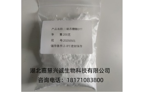 二硫苏糖醇 DTT